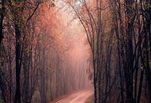 九博体育:体育流量如何转化为湾区发展增量?.