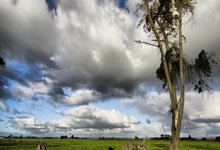 中国男篮在比赛中火力全开,赵睿和胡金秋表现抢眼,狂虐日本队!.