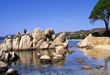 裏昂簽下大巴黎新星中場迪亞瓦拉!.